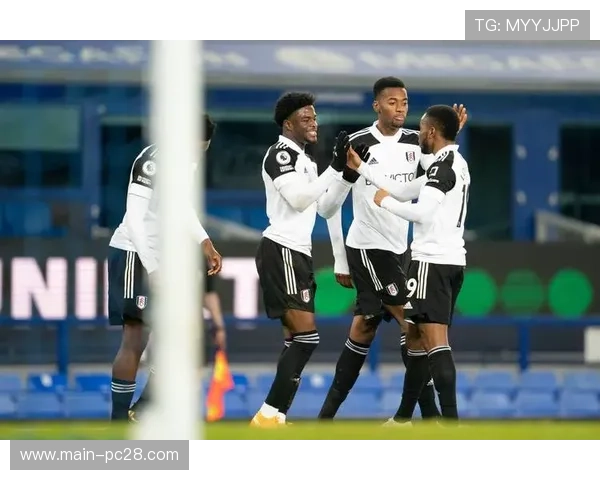 曼联球迷组织计划对阵富勒姆赛前抗议俱乐部所有权