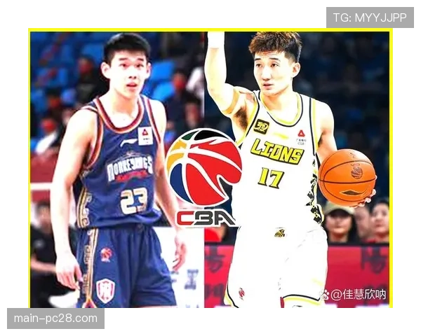 历史回顾：近十年CBA总冠军球队，其季后赛的助攻率与三分受助攻率均高于联盟平均